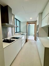 Park Infinia At Wee Nam (D11), Condominium #592543981
